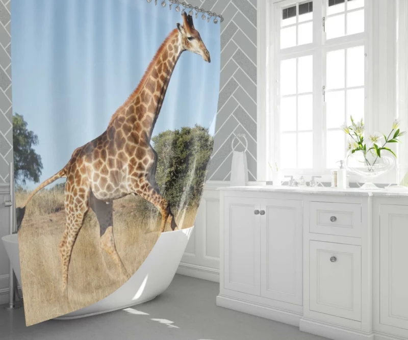 Giraffe Grace Nature Marvel Shower Curtain 1