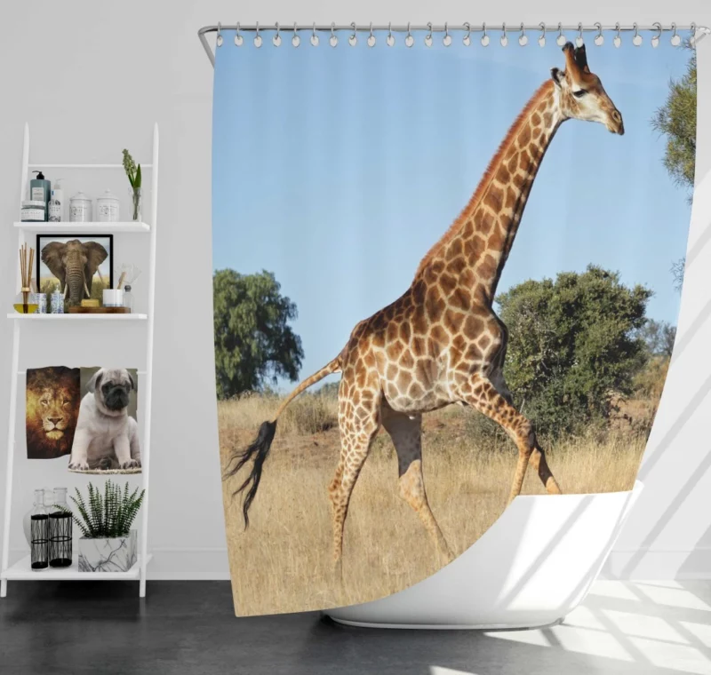 Giraffe Grace Nature Marvel Shower Curtain