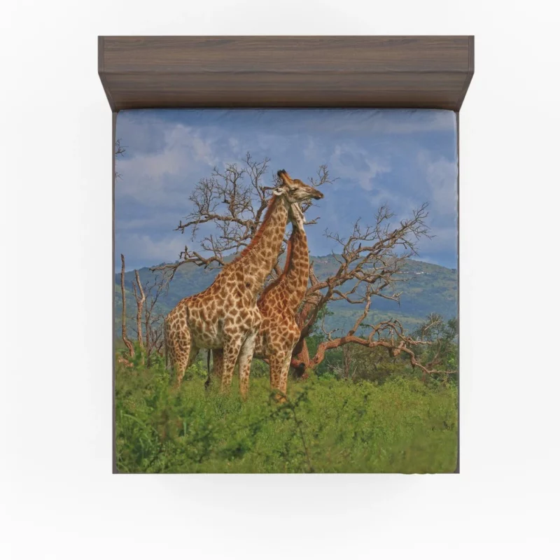 Giraffe Graceful Presence Wildlife Majesty Fitted Sheet 1