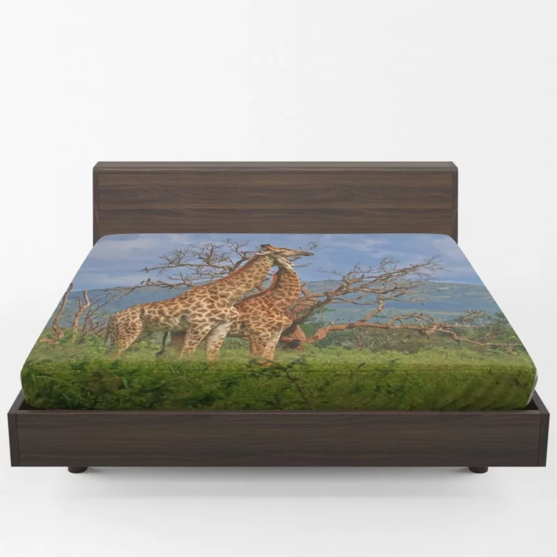 Giraffe Graceful Presence Wildlife Majesty Fitted Sheet