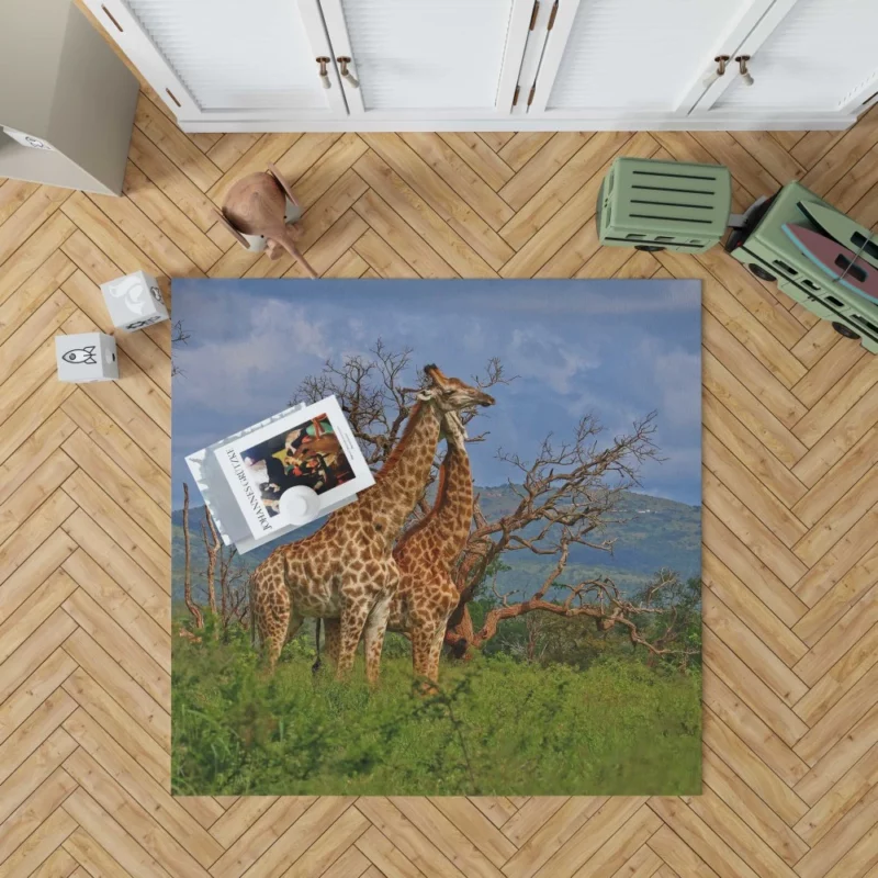 Giraffe Graceful Presence Wildlife Majesty Rug