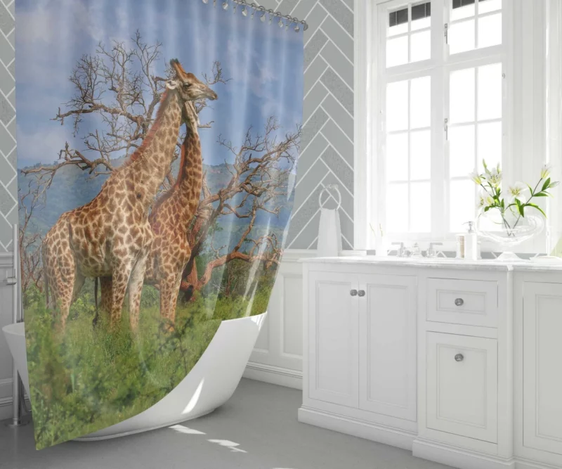 Giraffe Graceful Presence Wildlife Majesty Shower Curtain 1