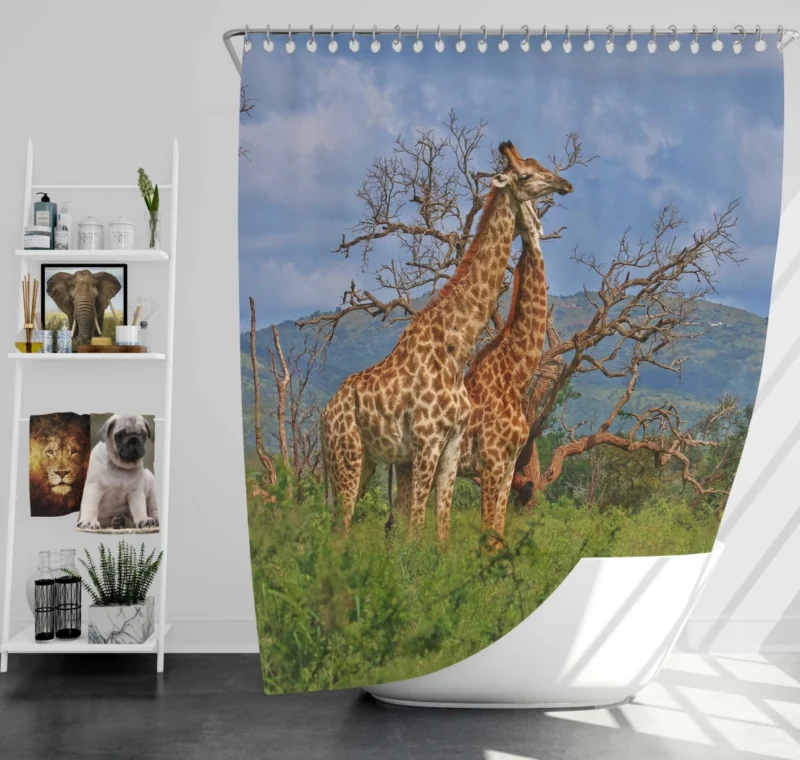 Giraffe Graceful Presence Wildlife Majesty Shower Curtain