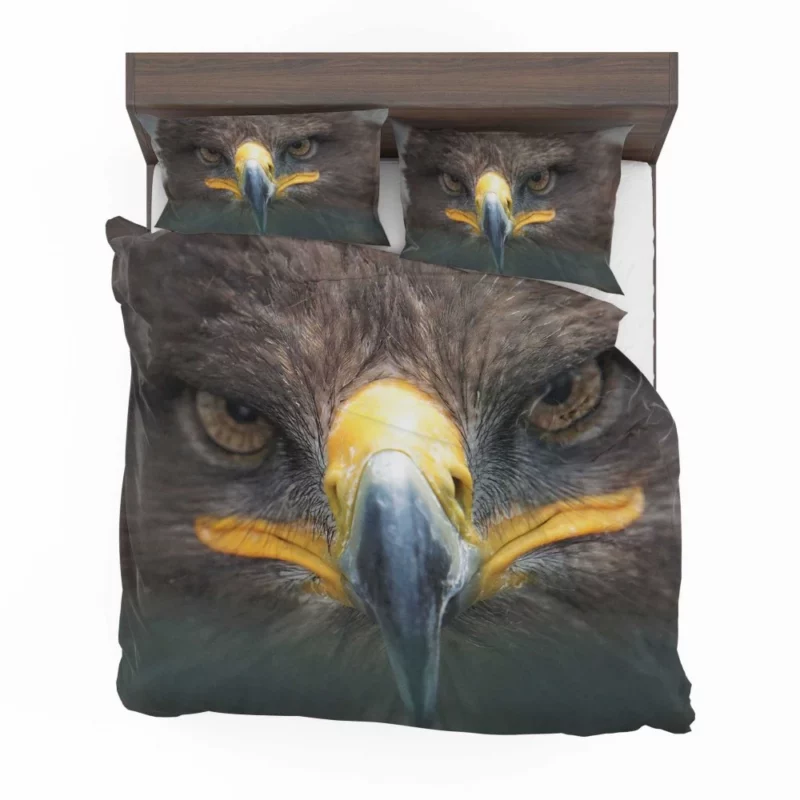 Golden Eagle Close-Up Majesty Raptor Stare Bedding Set 1