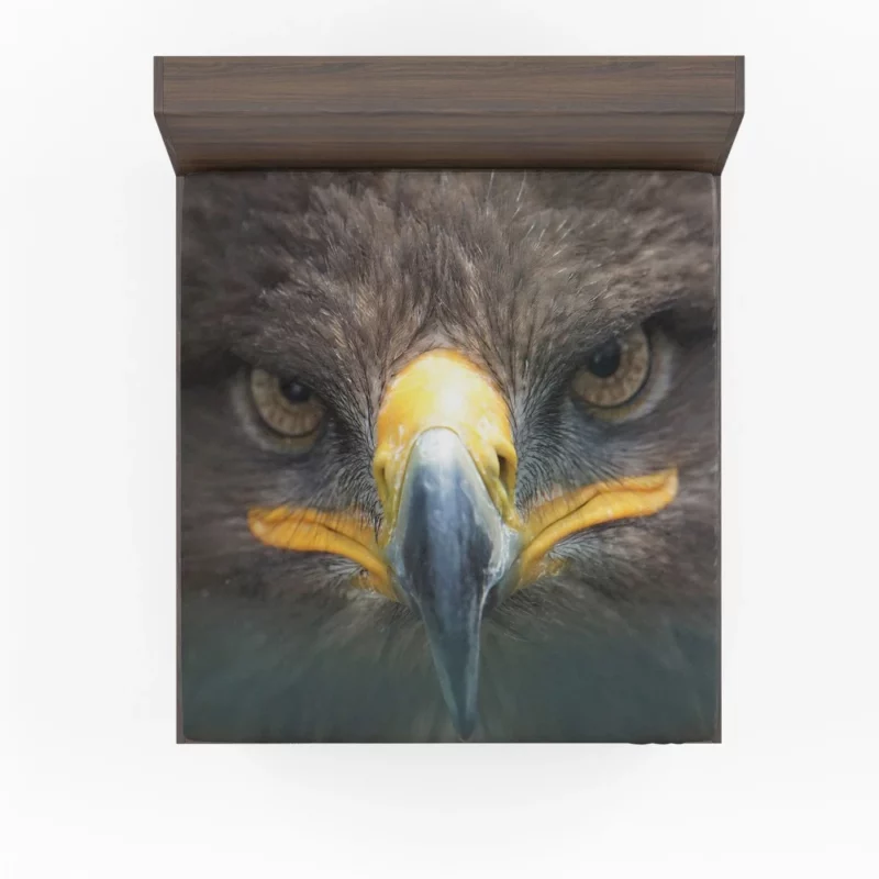 Golden Eagle Close-Up Majesty Raptor Stare Fitted Sheet 1