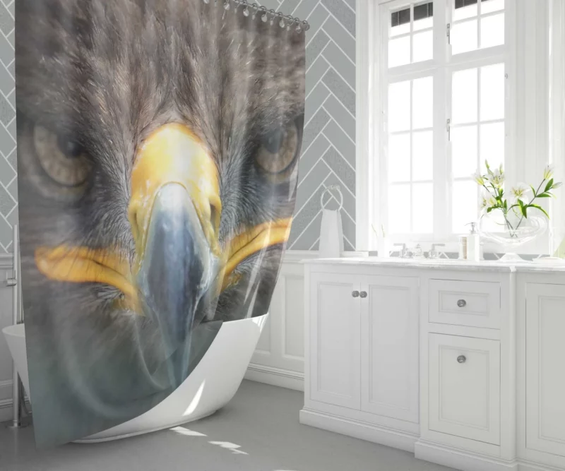 Golden Eagle Close-Up Majesty Raptor Stare Shower Curtain 1