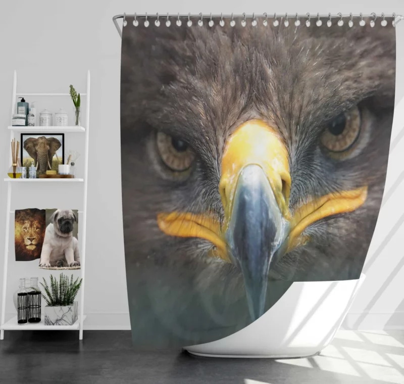 Golden Eagle Close-Up Majesty Raptor Stare Shower Curtain