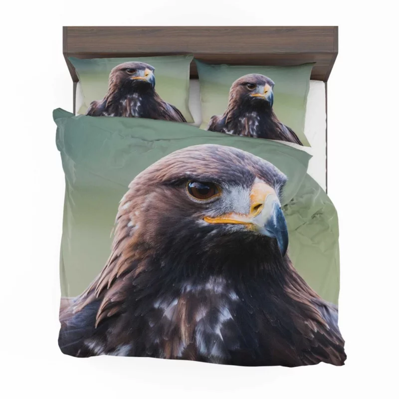 Golden Eagle Wilderness Soar Majestic Bird Bedding Set 1