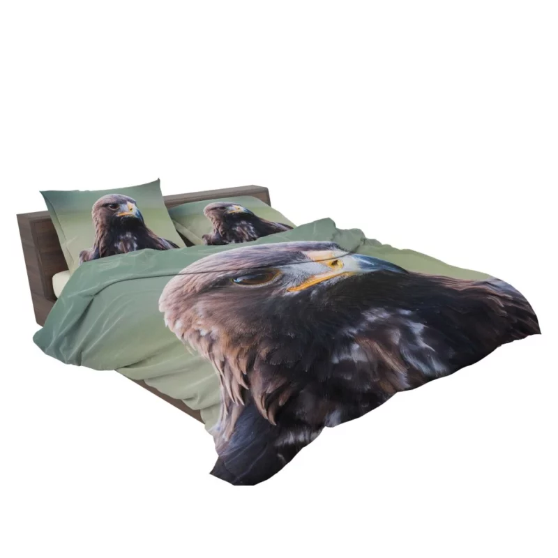 Golden Eagle Wilderness Soar Majestic Bird Bedding Set 2