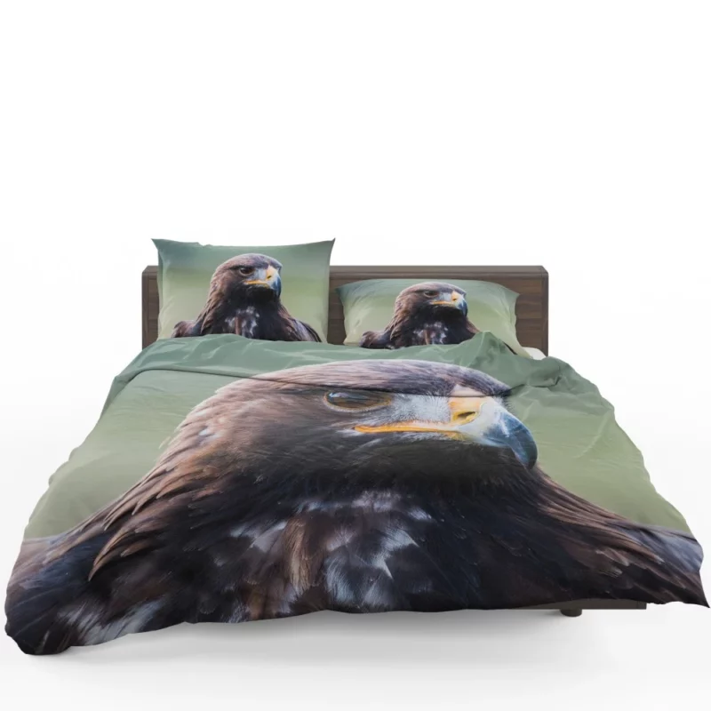 Golden Eagle Wilderness Soar Majestic Bird Bedding Set