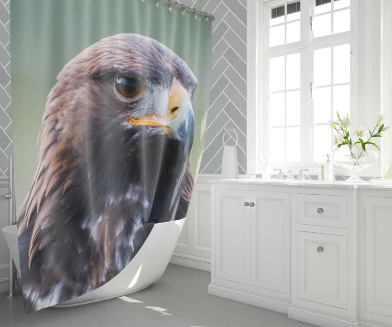 Golden Eagle Wilderness Soar Majestic Bird Shower Curtain 1