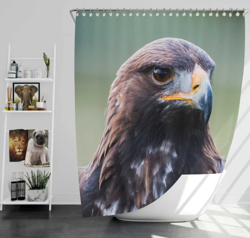 Golden Eagle Wilderness Soar Majestic Bird Shower Curtain