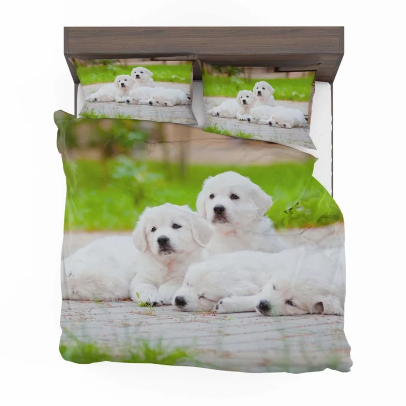 Golden Pug Puppy Cuteness Overload Bedding Set 1