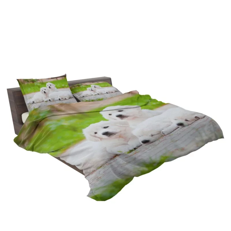 Golden Pug Puppy Cuteness Overload Bedding Set 2