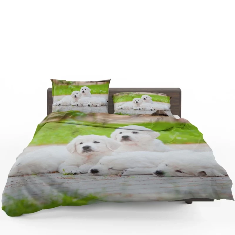 Golden Pug Puppy Cuteness Overload Bedding Set