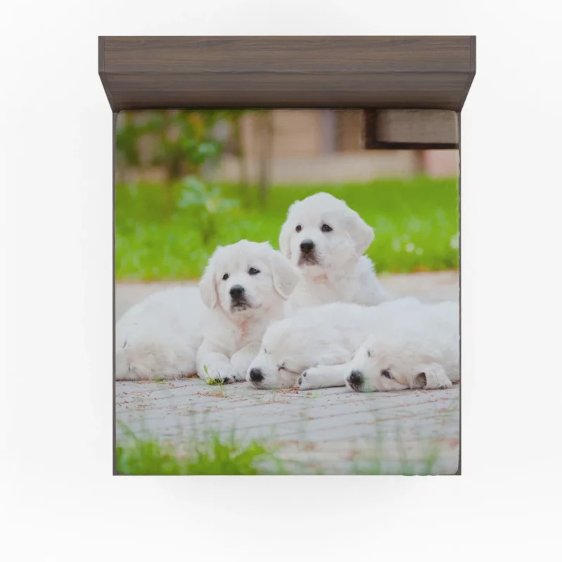 Golden Pug Puppy Cuteness Overload Fitted Sheet 1