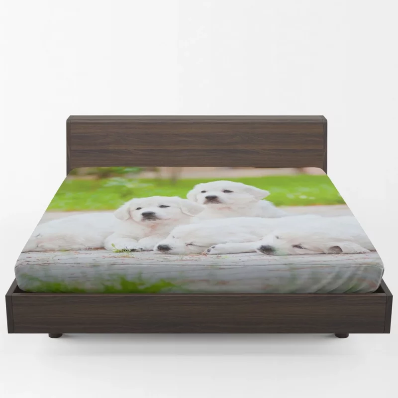 Golden Pug Puppy Cuteness Overload Fitted Sheet