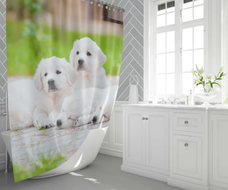 Golden Pug Puppy Cuteness Overload Shower Curtain 1