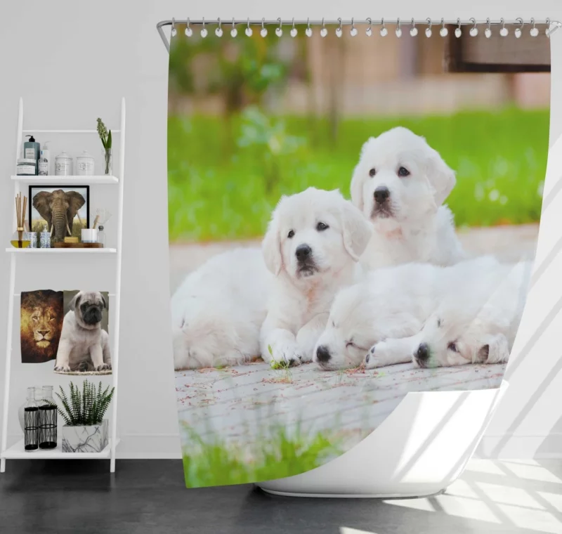 Golden Pug Puppy Cuteness Overload Shower Curtain