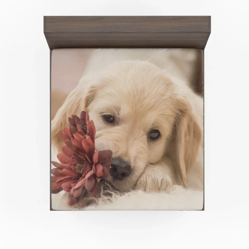 Golden Retriever Amidst Flowers Natural Beauty Fitted Sheet 1