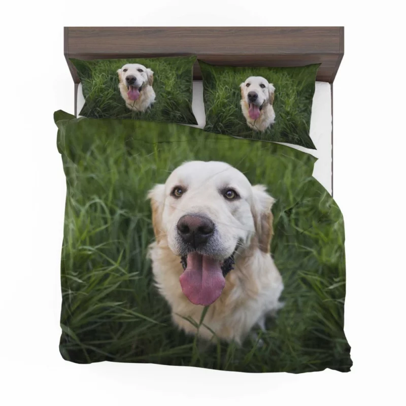 Golden Retriever Amidst Grass Canine Grace Bedding Set 1