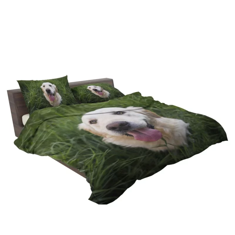 Golden Retriever Amidst Grass Canine Grace Bedding Set 2