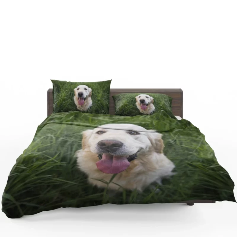 Golden Retriever Amidst Grass Canine Grace Bedding Set