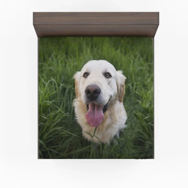 Golden Retriever Amidst Grass Canine Grace Fitted Sheet 1