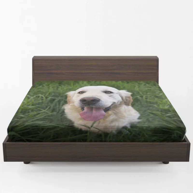 Golden Retriever Amidst Grass Canine Grace Fitted Sheet