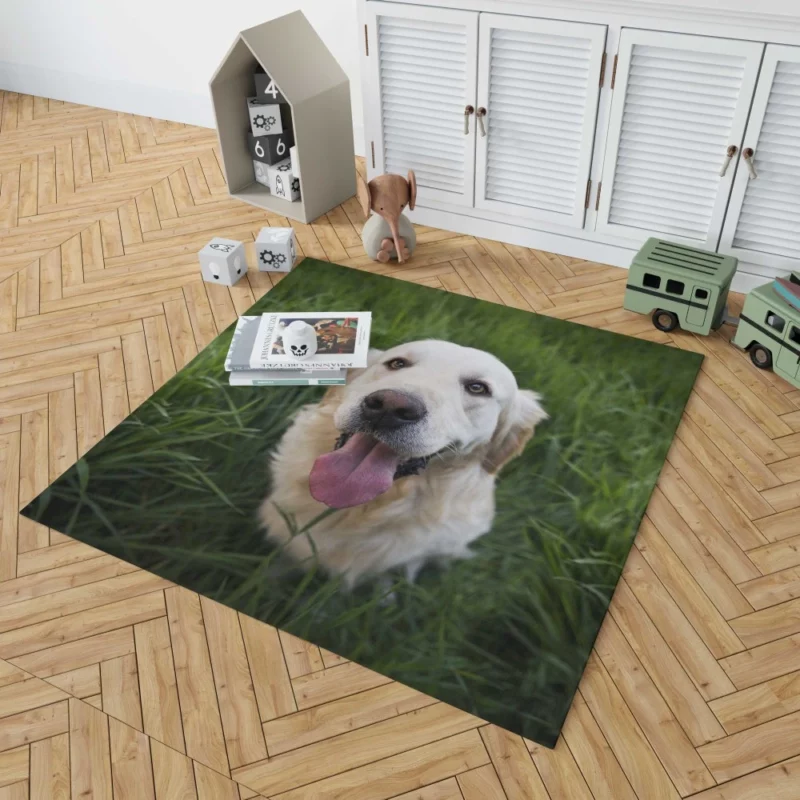 Golden Retriever Amidst Grass Canine Grace Rug 1