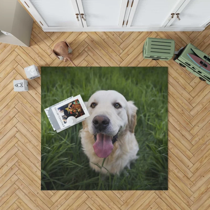 Golden Retriever Amidst Grass Canine Grace Rug