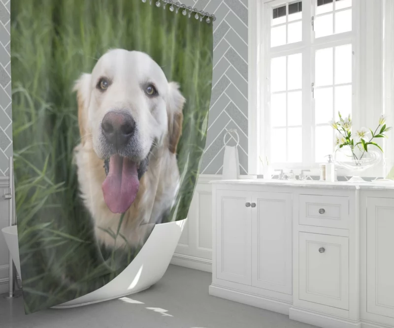 Golden Retriever Amidst Grass Canine Grace Shower Curtain 1