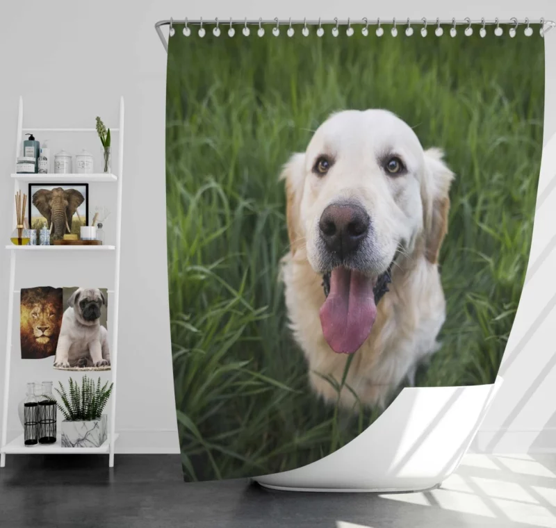 Golden Retriever Amidst Grass Canine Grace Shower Curtain