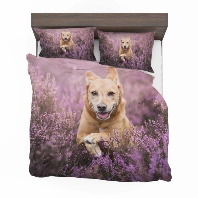 Golden Retriever Amidst Purple Bloom Bedding Set 1