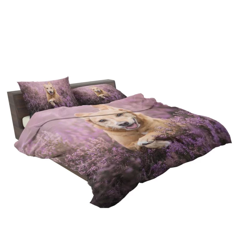 Golden Retriever Amidst Purple Bloom Bedding Set 2