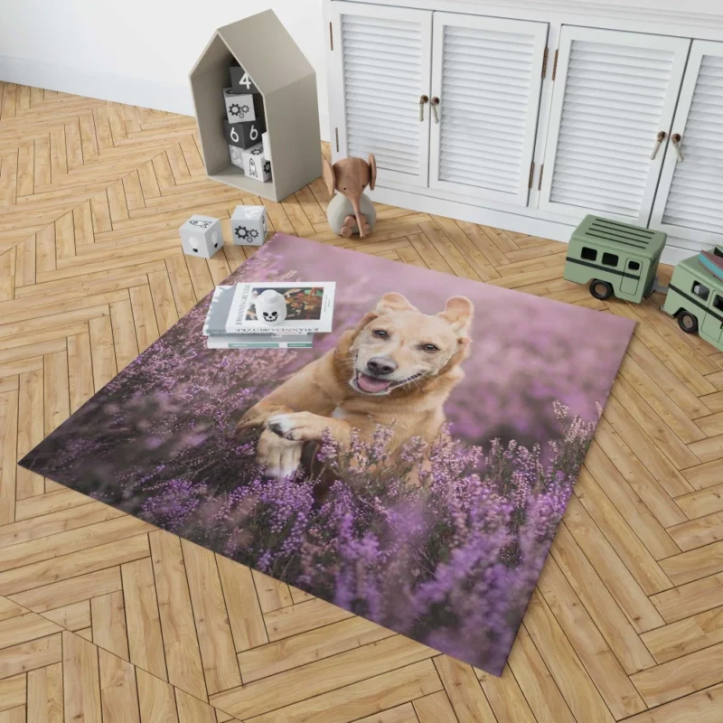 Golden Retriever Amidst Purple Bloom Rug 1