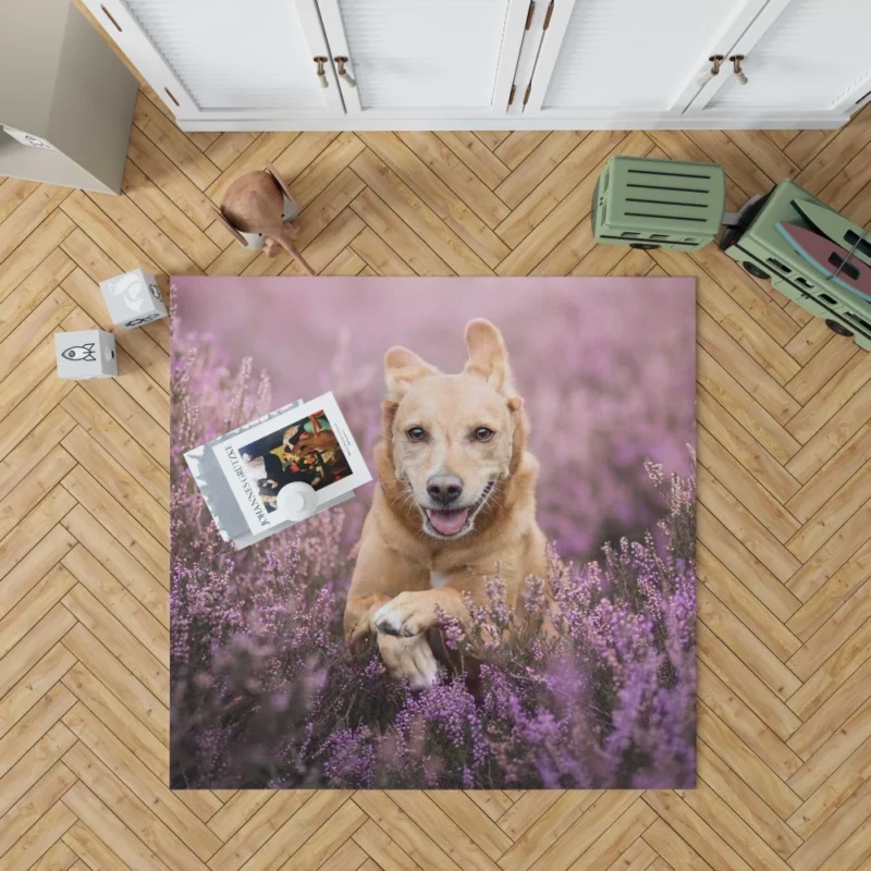 Golden Retriever Amidst Purple Bloom Rug