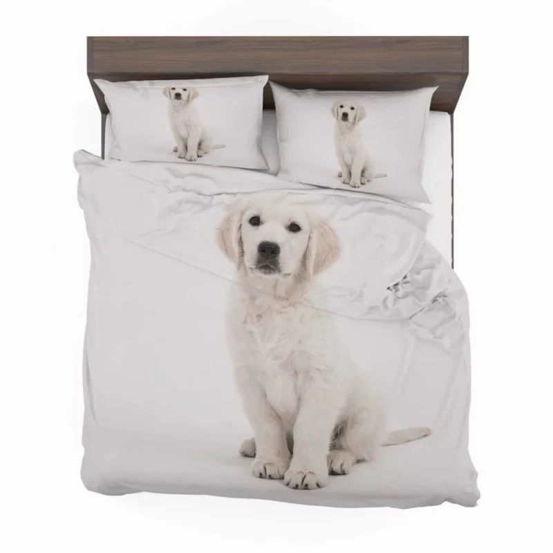 Golden Retriever Baby Innocence Bedding Set 1