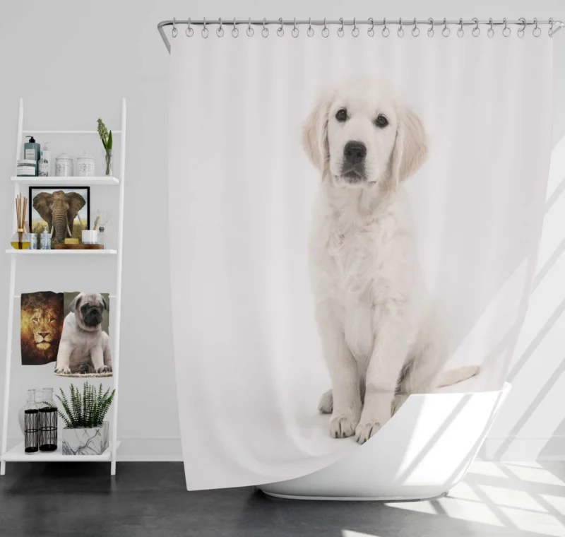 Golden Retriever Baby Innocence Shower Curtain