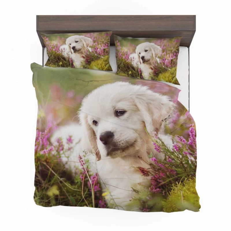 Golden Retriever Baby-Soft Wonder Bedding Set 1