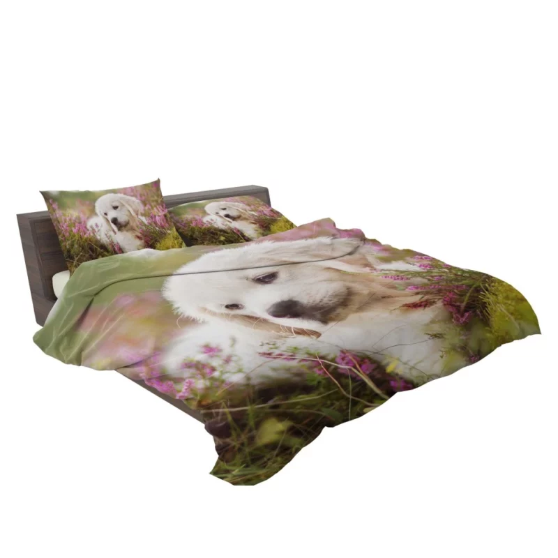 Golden Retriever Baby-Soft Wonder Bedding Set 2