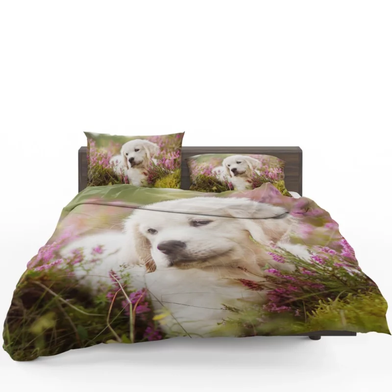 Golden Retriever Baby-Soft Wonder Bedding Set