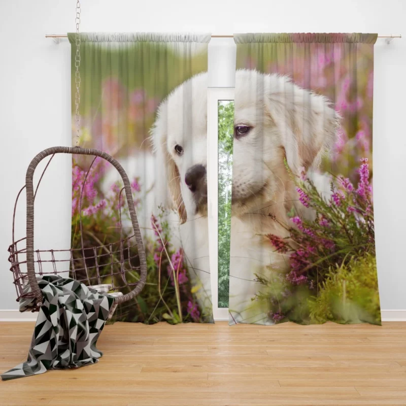 Golden Retriever Baby-Soft Wonder Curtain