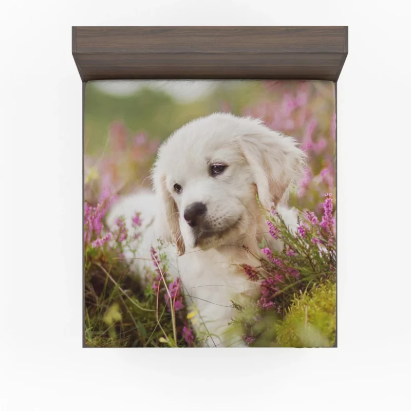 Golden Retriever Baby-Soft Wonder Fitted Sheet 1