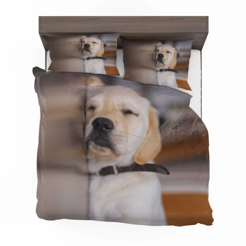 Golden Retriever Curious Gaze Bedding Set 1