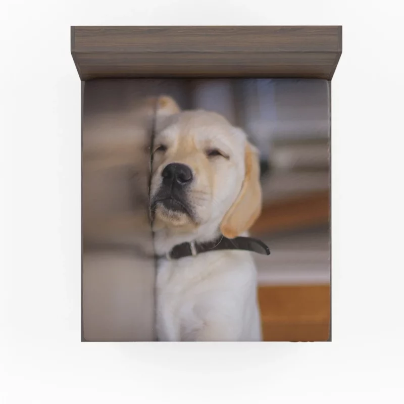 Golden Retriever Curious Gaze Fitted Sheet 1