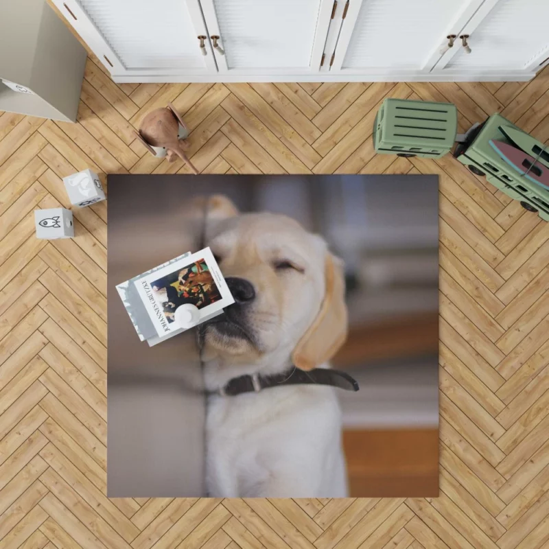 Golden Retriever Curious Gaze Rug