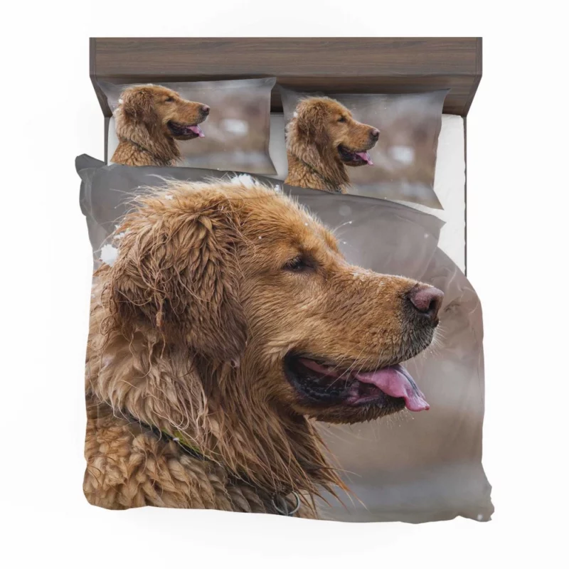 Golden Retriever Heartwarming Loyalty Beloved Companion Bedding Set 1