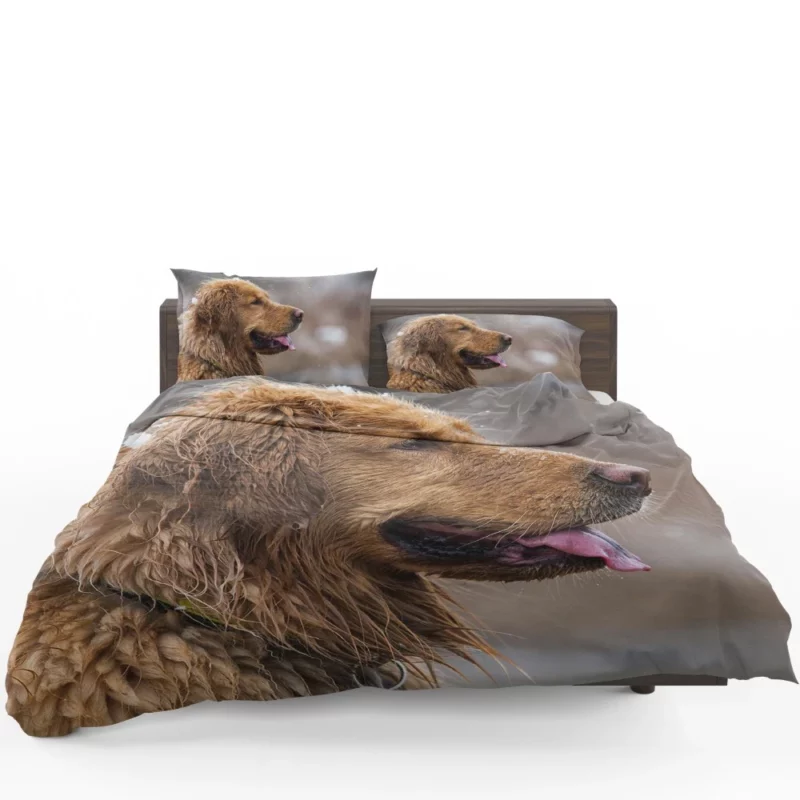 Golden Retriever Heartwarming Loyalty Beloved Companion Bedding Set