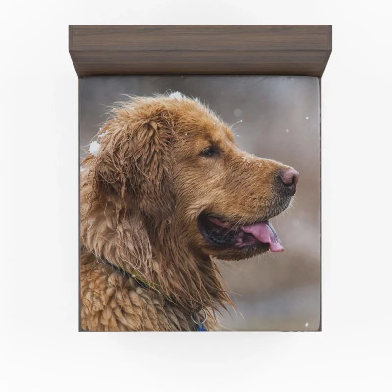 Golden Retriever Heartwarming Loyalty Beloved Companion Fitted Sheet 1